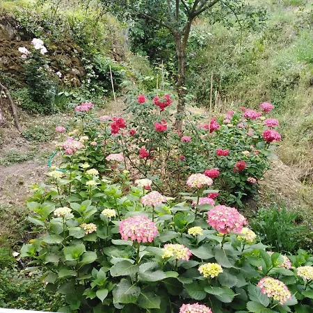 Il Ghiro Bed & Breakfast *