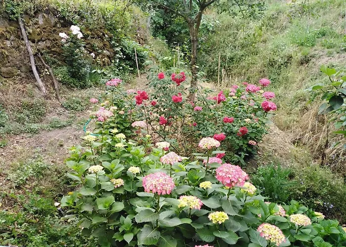 Il Ghiro Bed & Breakfast 3*